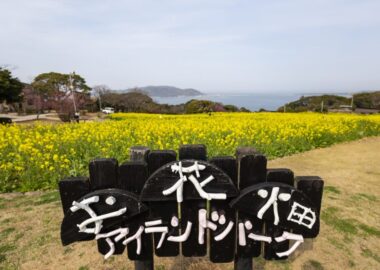 のこのしまアイランドパーク花畑の看板