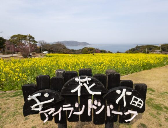 のこのしまアイランドパーク花畑の看板