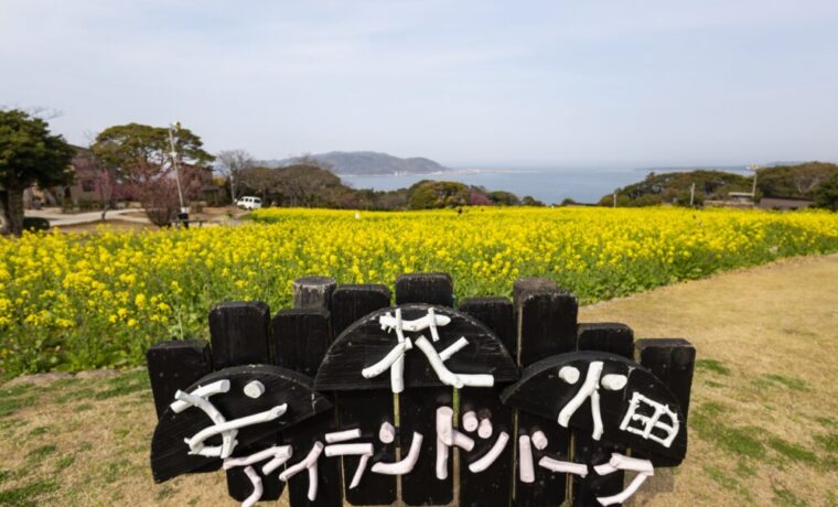 のこのしまアイランドパーク花畑の看板